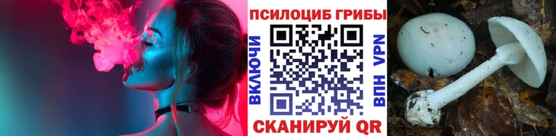 Галлюциногенные грибы прущие грибы  Купить  Мещовск 